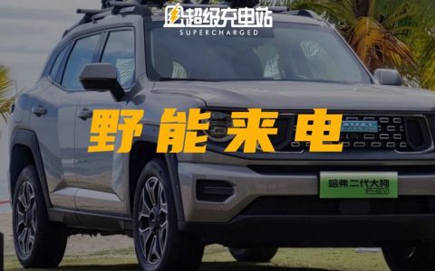 哈弗二代大狗带来的「野性的呼唤」