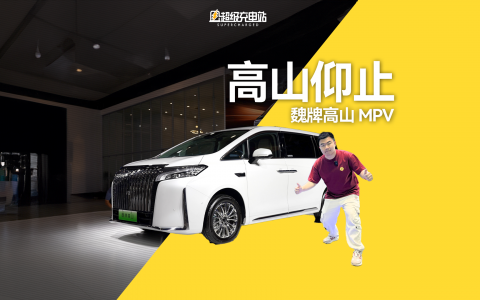 在大湾区的车海里，我们找到了两座高山