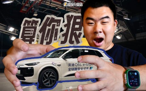 奥迪 Q6L e-tron 撞了我个措手不及